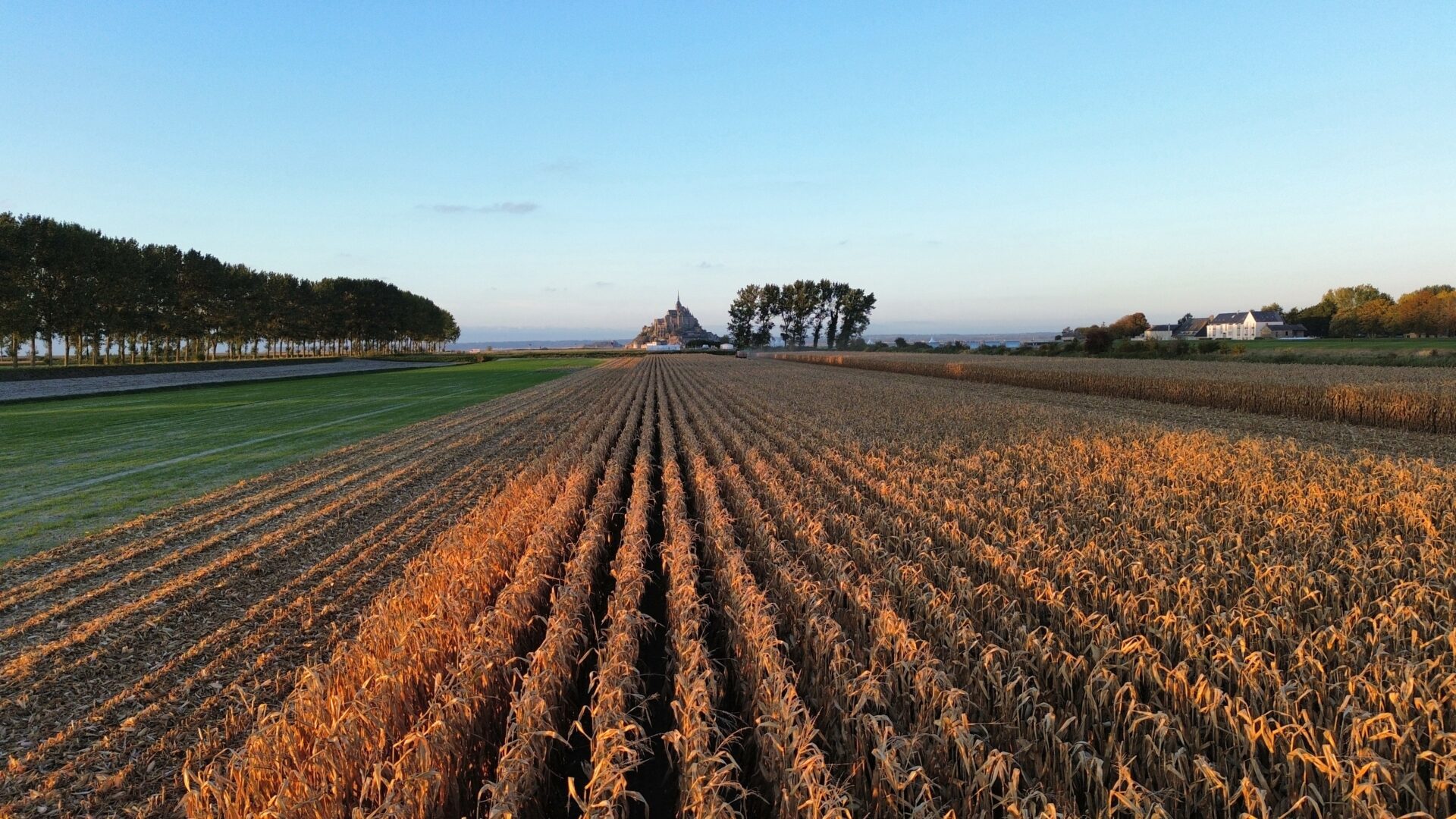 dcim100mediadji 0462.jpg