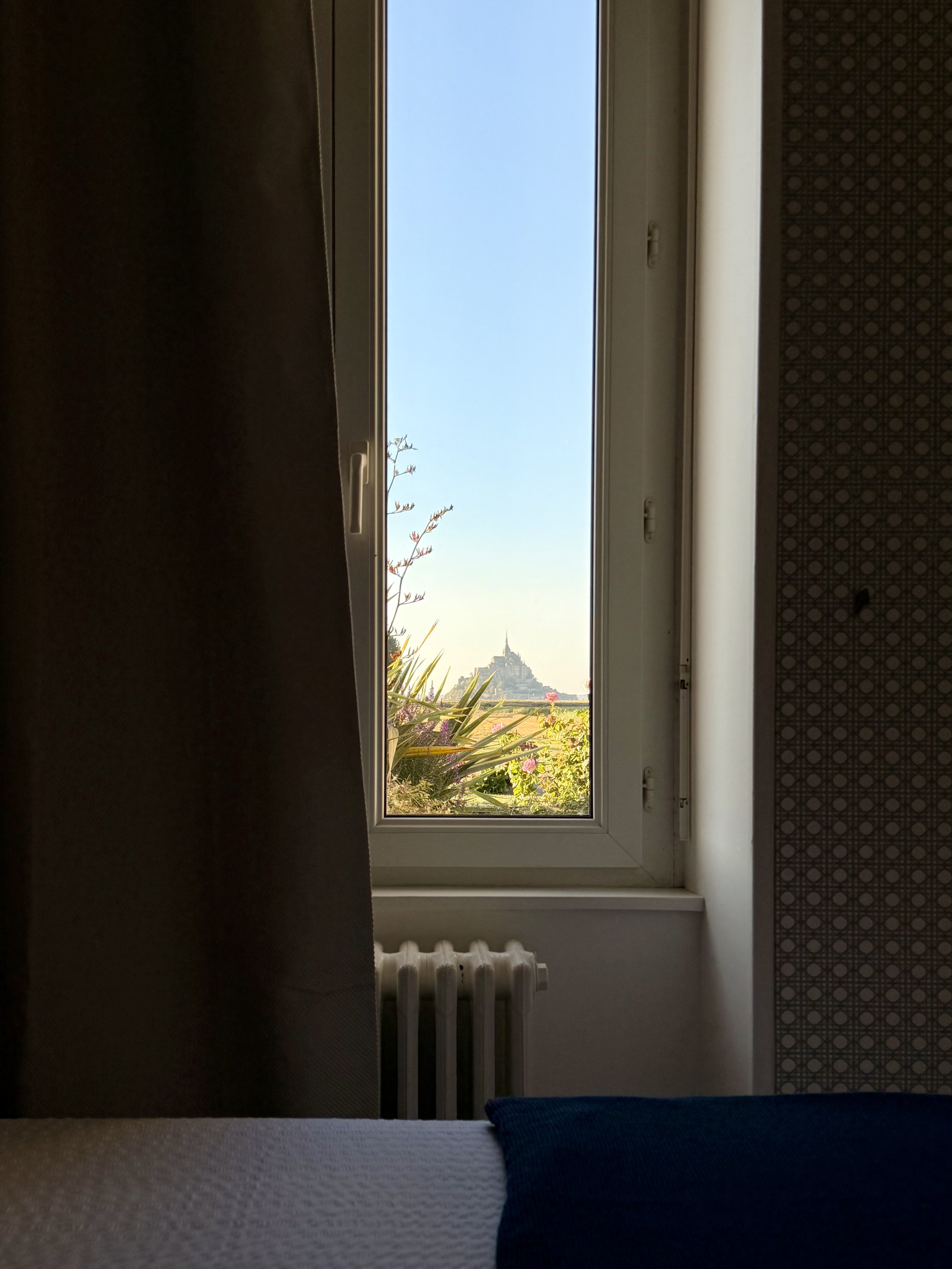 img 7578
